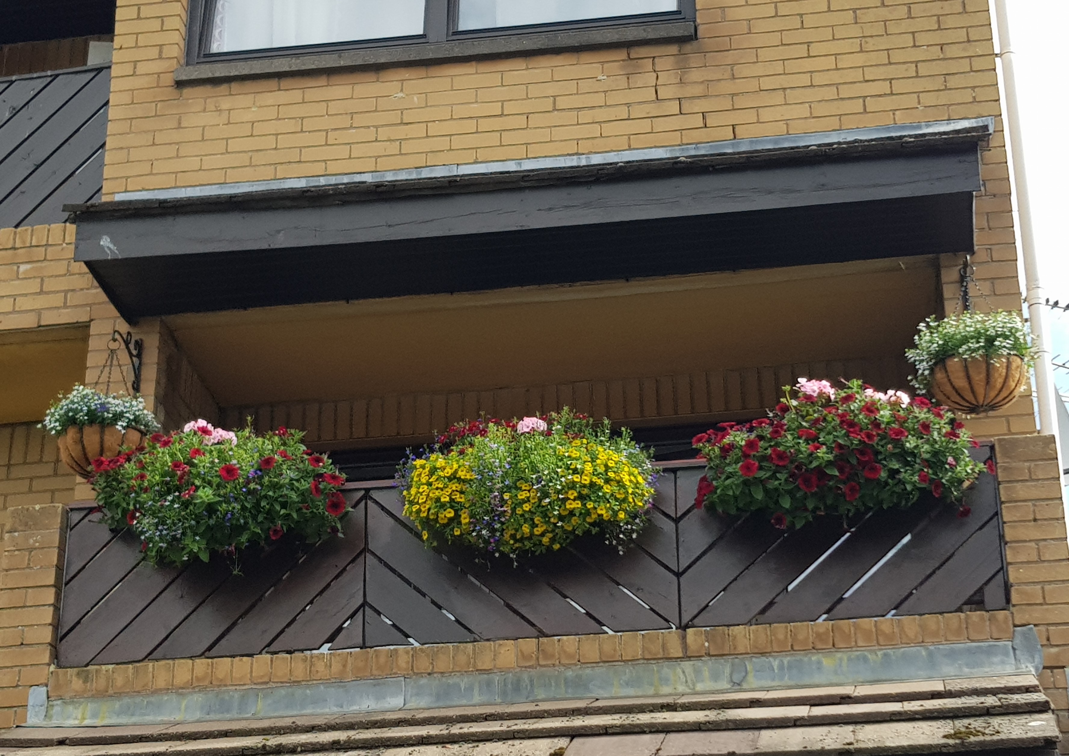 A blooming balcony 2019